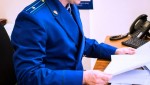 Прокуратура выявила нарушения безопасности дорожного движения в Сапожковском районе
